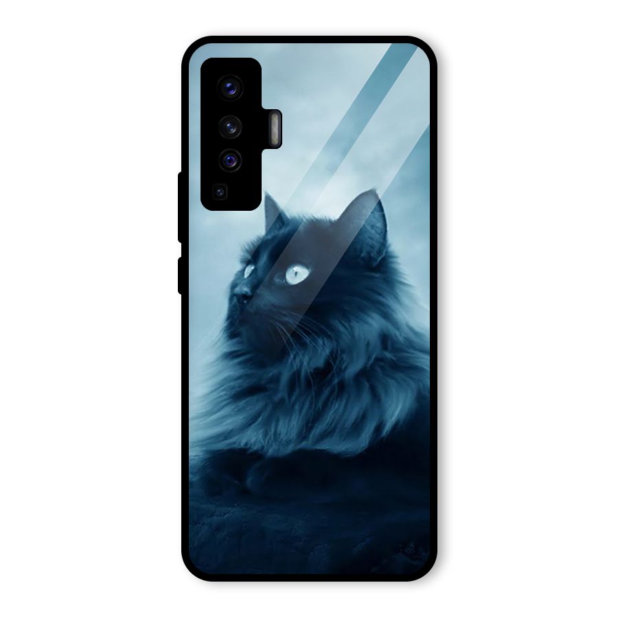 Wild Forest Cat Glass Back Case for Vivo X50