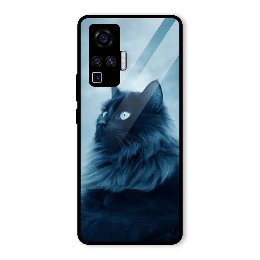Wild Forest Cat Glass Back Case for Vivo X50 Pro