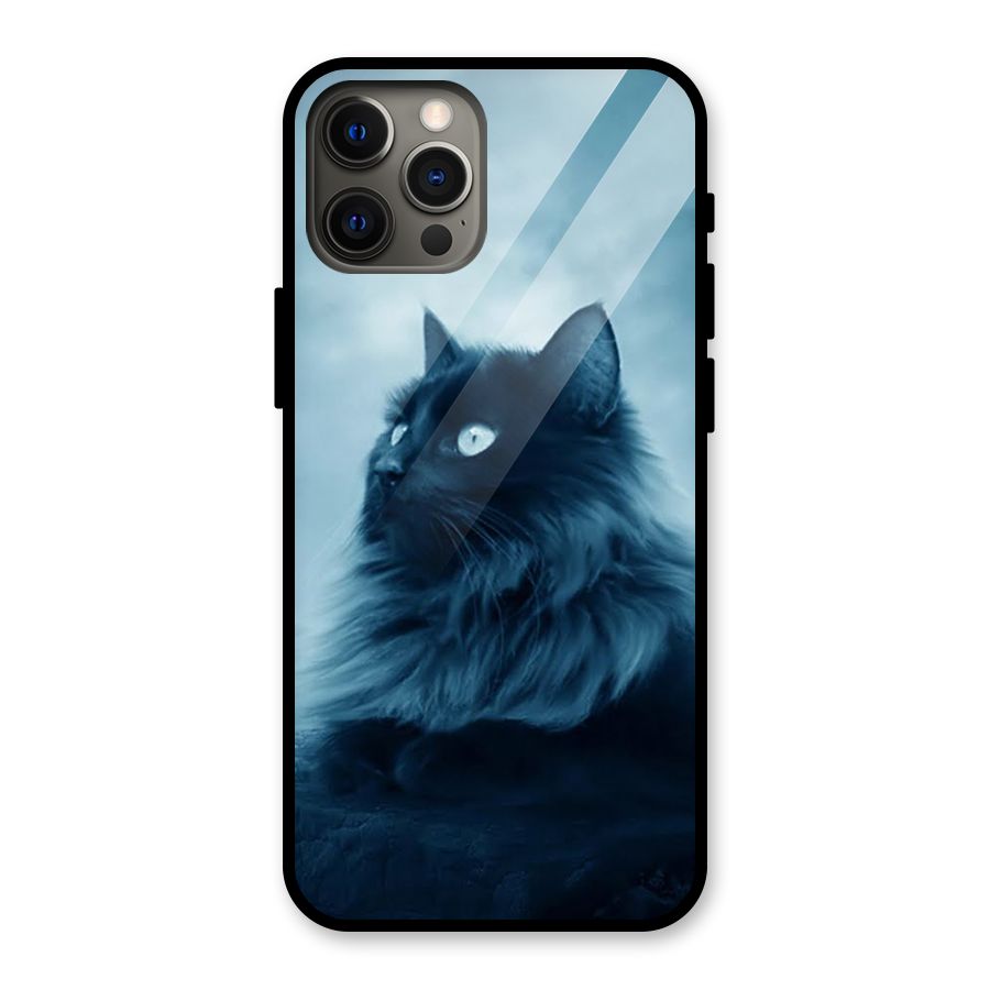 Wild Forest Cat Glass Back Case for iPhone 12 Pro Max