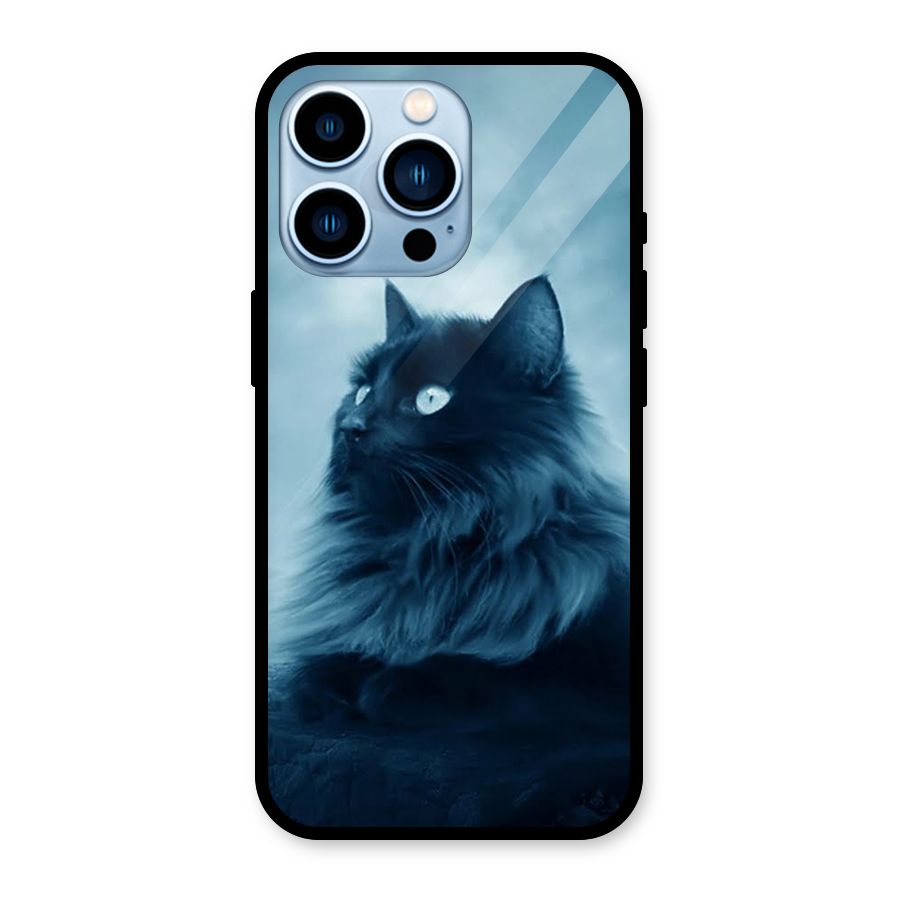 Wild Forest Cat Glass Back Case for iPhone 13 Pro