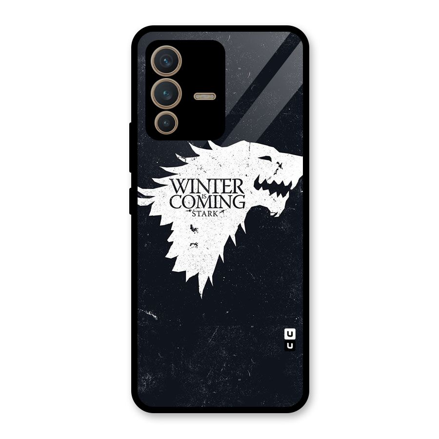 Winter is Coming Stark Glass Back Case for Vivo V23 5G