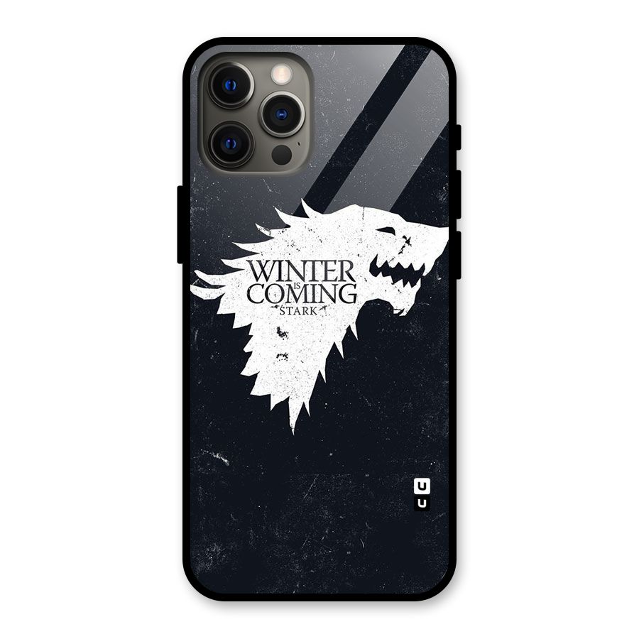 Winter is Coming Stark Glass Back Case for iPhone 12 Pro Max