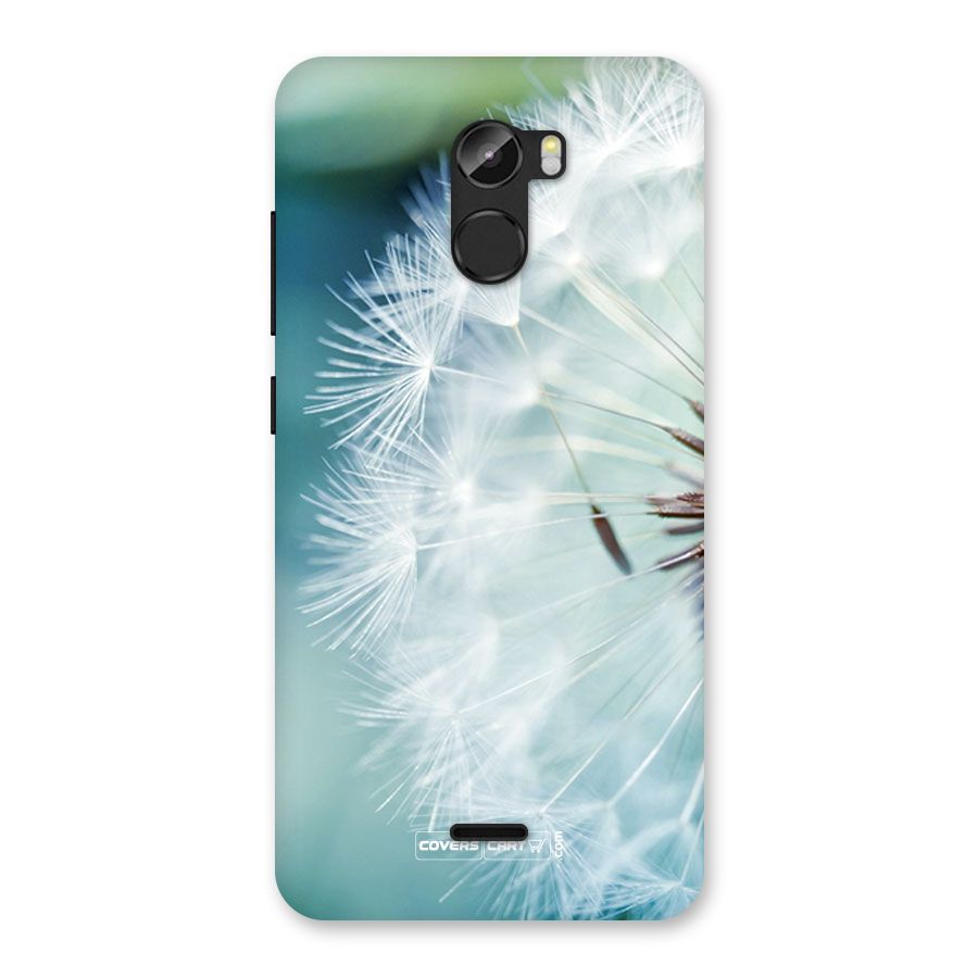 Wish Floral Back Case for Gionee X1