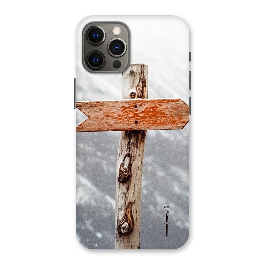 Wood And Snow Back Case for iPhone 12 Pro Max