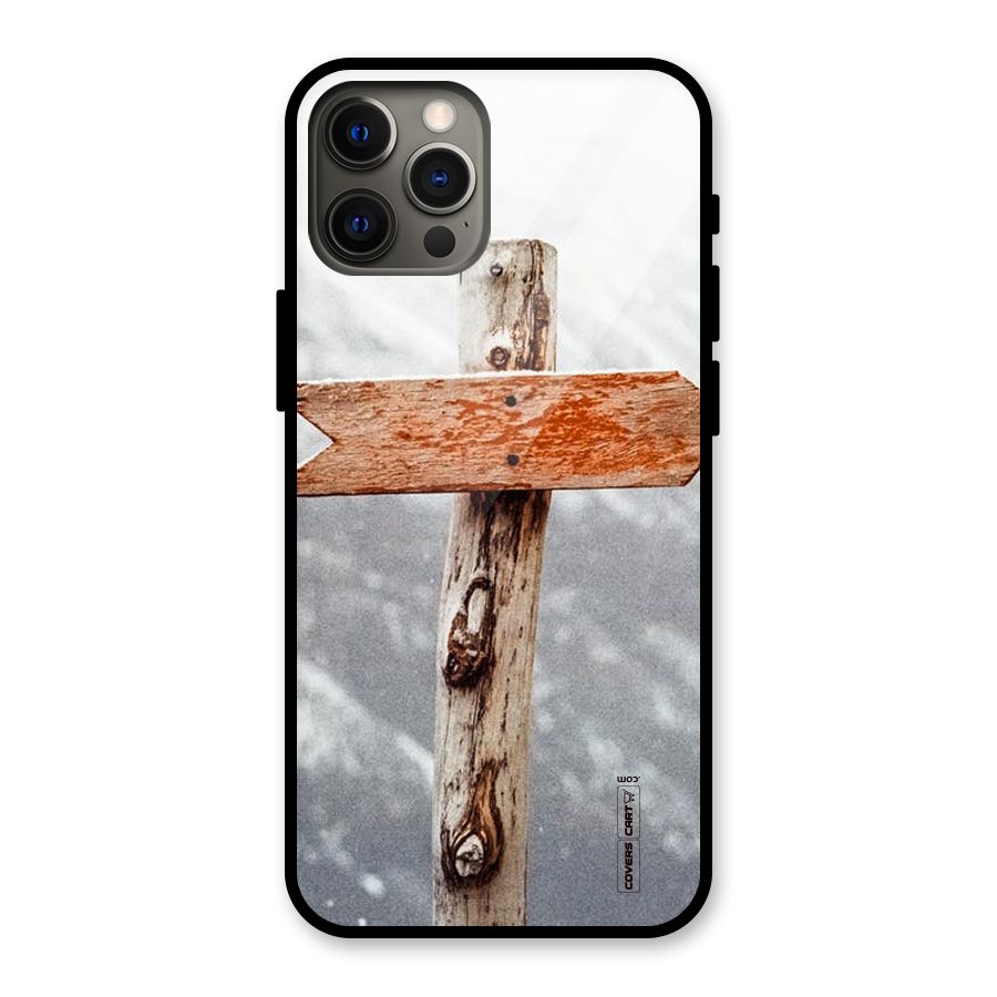 Wood And Snow Glass Back Case for iPhone 12 Pro Max