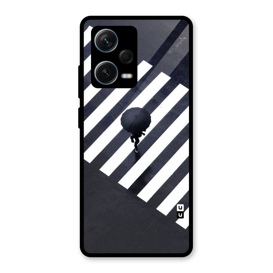 Zebra Walking Glass Back Case for Redmi Note 12 Pro Plus 5G