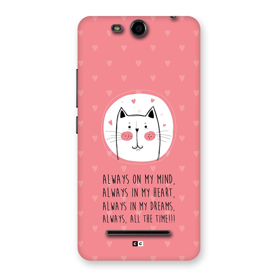 Always In Mind Back Case for Canvas Juice 3 Q392