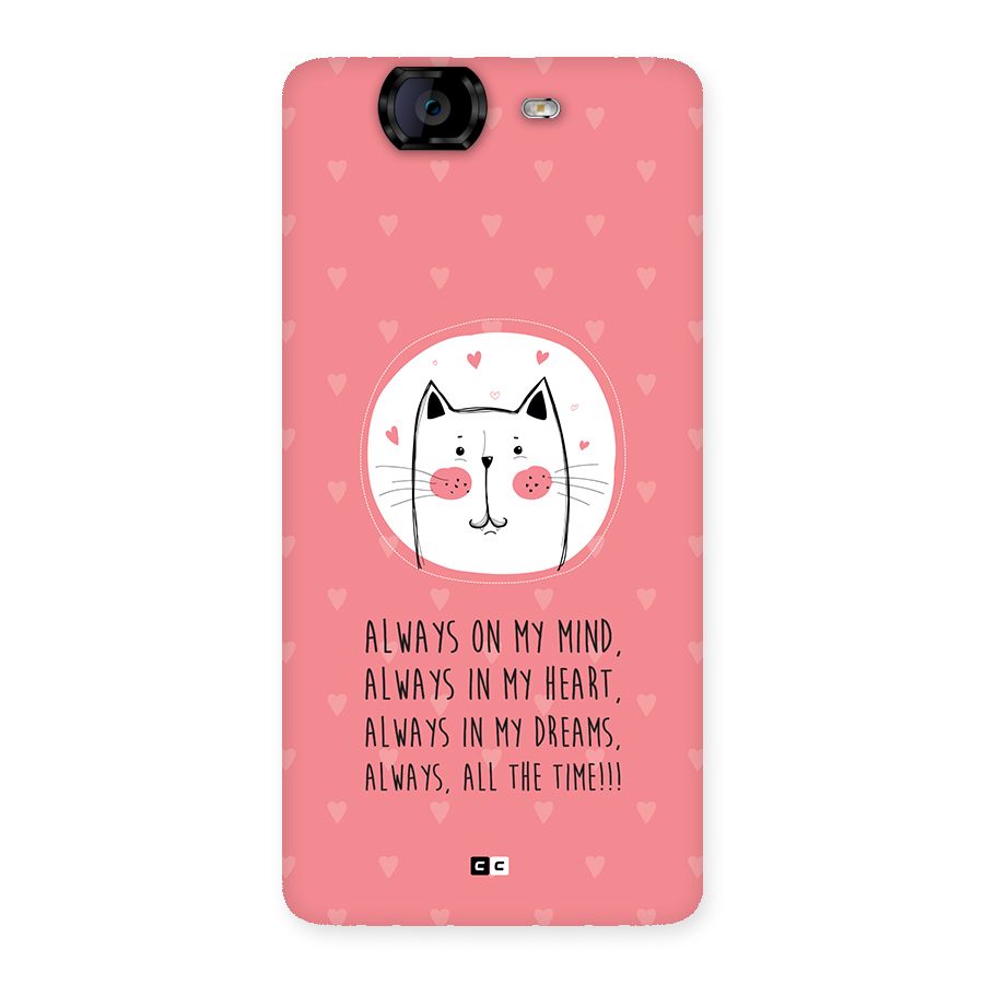 Always In Mind Back Case for Canvas Knight A350