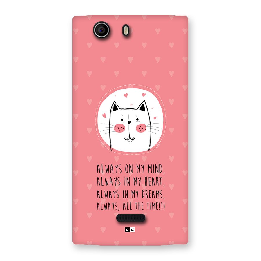 Always In Mind Back Case for Canvas Nitro 2 E311