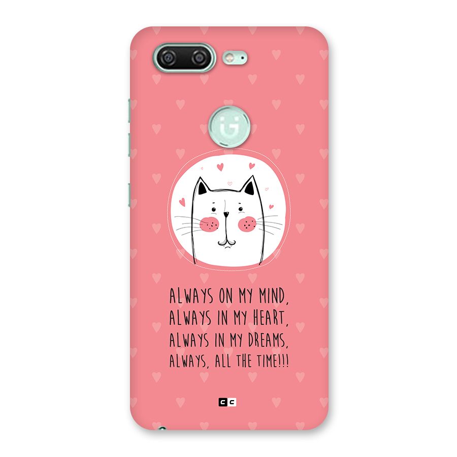 Always In Mind Back Case for Gionee S10