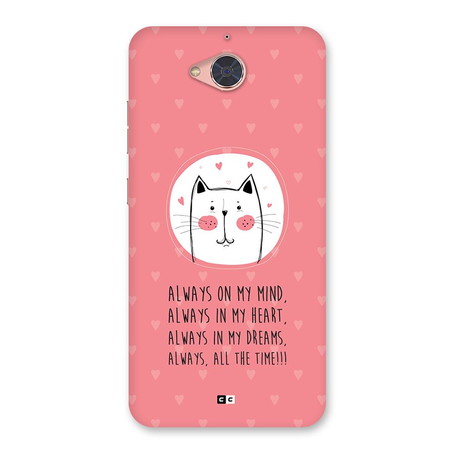 Always In Mind Back Case for Gionee S6 Pro