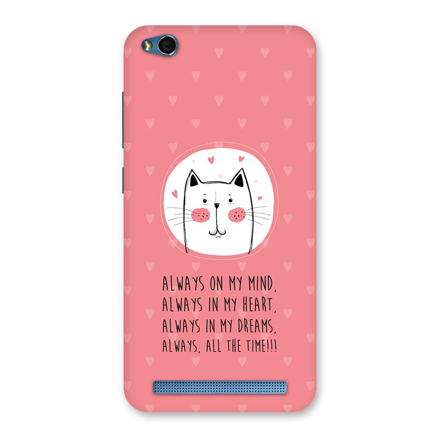 Always In Mind Back Case for Redmi 5A