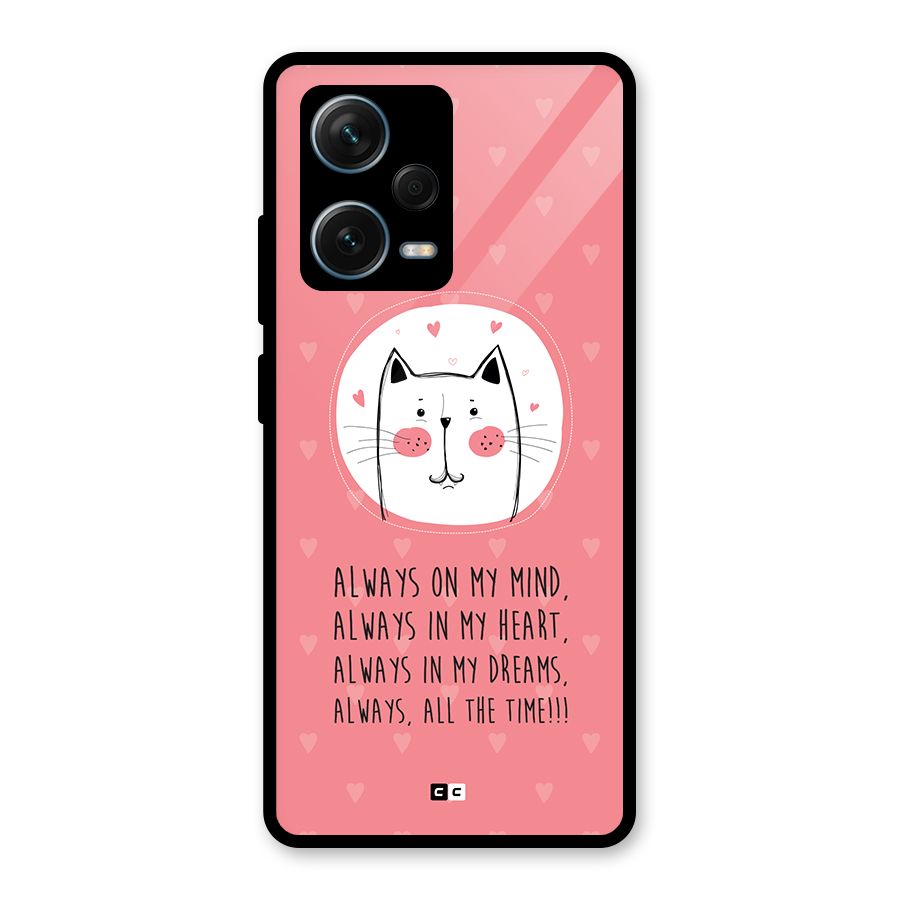 Always In Mind Back Case for Redmi Note 12 Pro Plus 5G