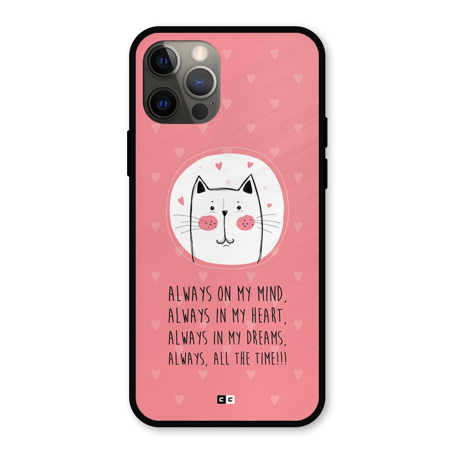 Always In Mind Metal Back Case for iPhone 12 Pro