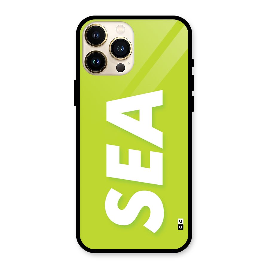 Amazing Sea Glass Back Case for iPhone 13 Pro Max