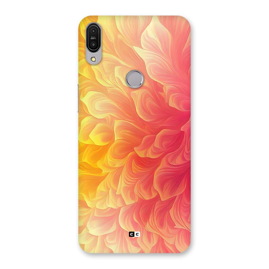 Amazing Vibrant Pattern Back Case for Zenfone Max Pro M1