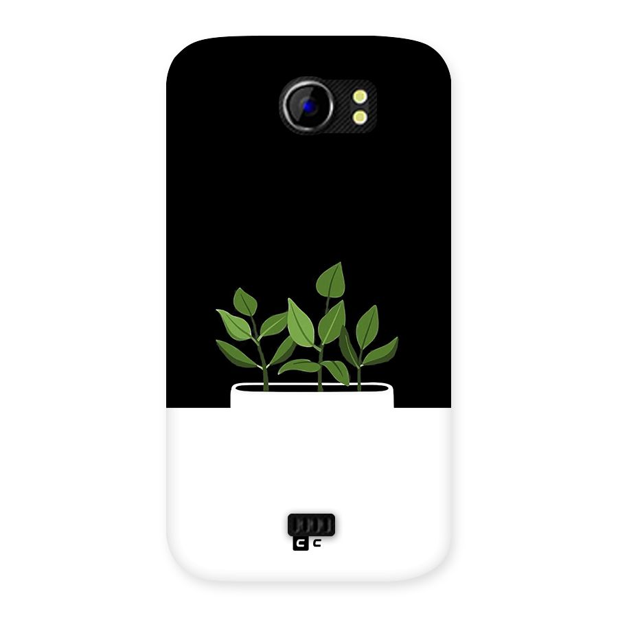 Beautiful Plant Pot Minimalistic Back Case for Canvas 2 A110