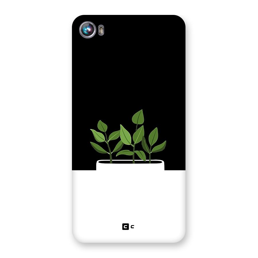 Beautiful Plant Pot Minimalistic Back Case for Canvas Fire 4 (A107)