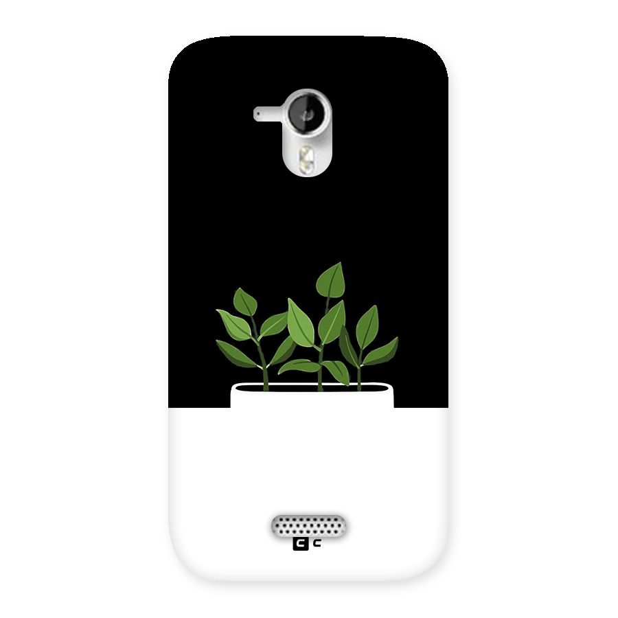 Beautiful Plant Pot Minimalistic Back Case for Canvas HD A116