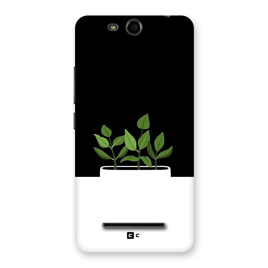 Beautiful Plant Pot Minimalistic Back Case for Canvas Juice 3 Q392