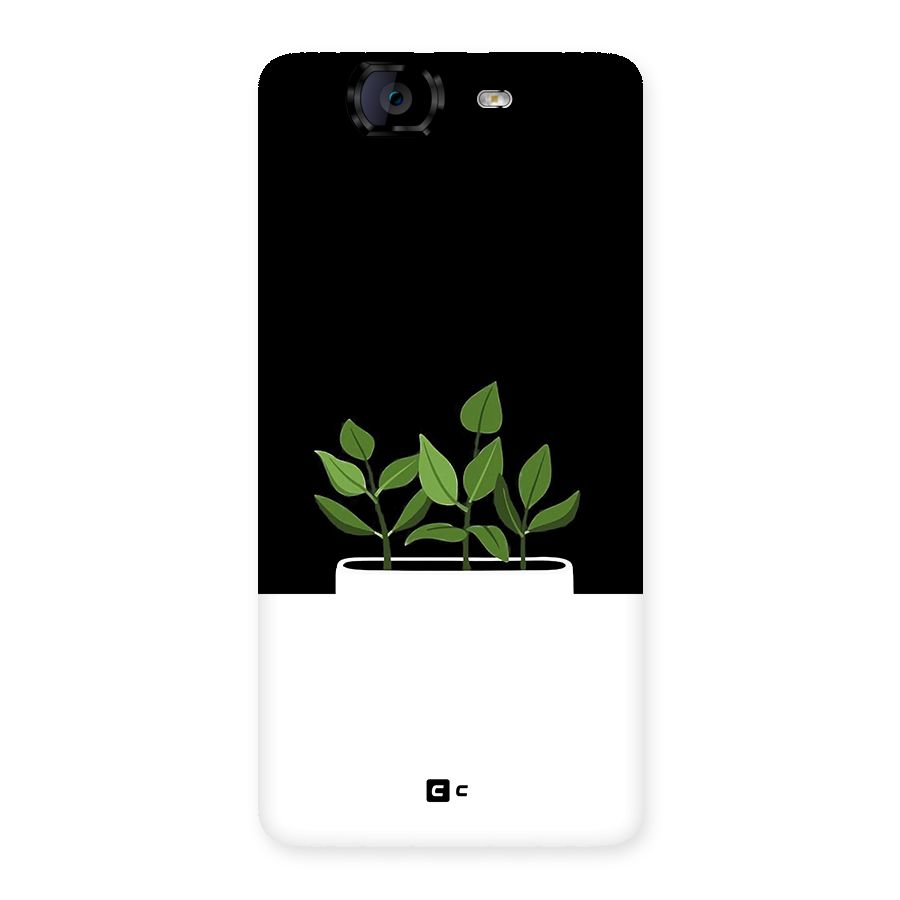 Beautiful Plant Pot Minimalistic Back Case for Canvas Knight A350