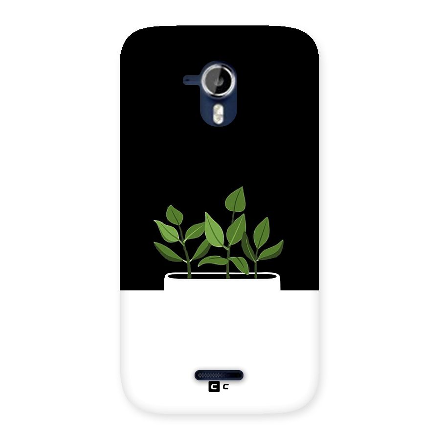 Beautiful Plant Pot Minimalistic Back Case for Canvas Magnus A117