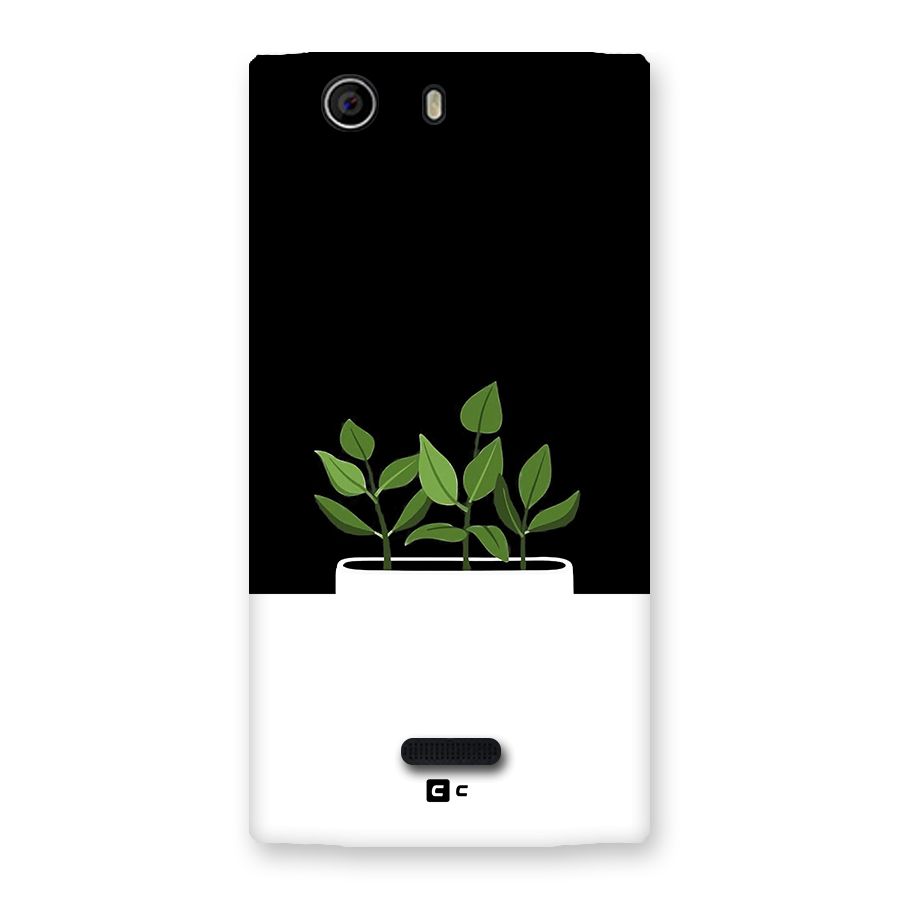 Beautiful Plant Pot Minimalistic Back Case for Canvas Nitro 2 E311