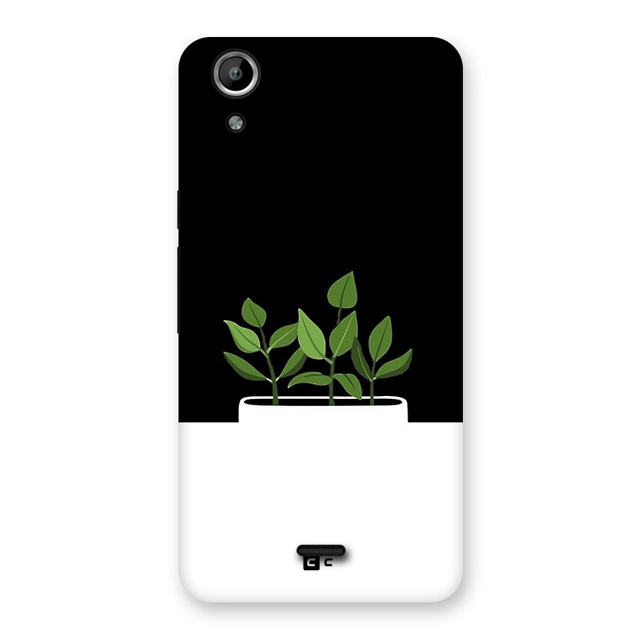 Beautiful Plant Pot Minimalistic Back Case for Canvas Selfie Lens Q345