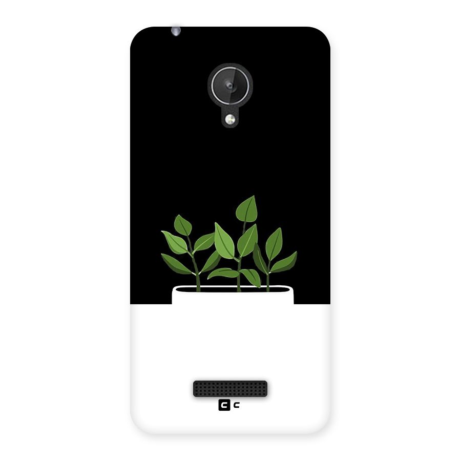 Beautiful Plant Pot Minimalistic Back Case for Canvas Spark Q380