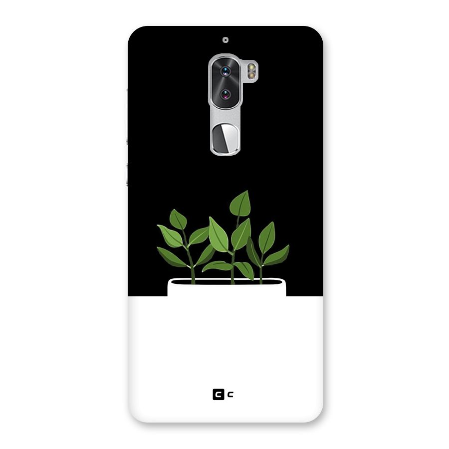 Beautiful Plant Pot Minimalistic Back Case for Coolpad Cool 1