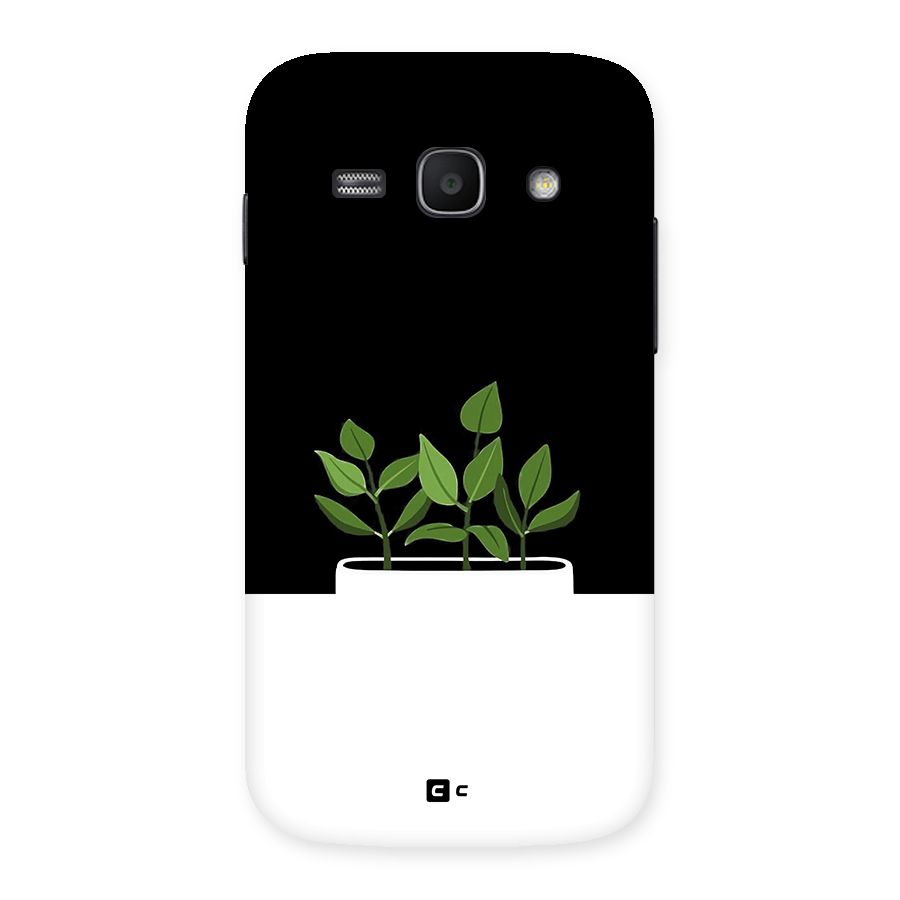 Beautiful Plant Pot Minimalistic Back Case for Galaxy Ace3