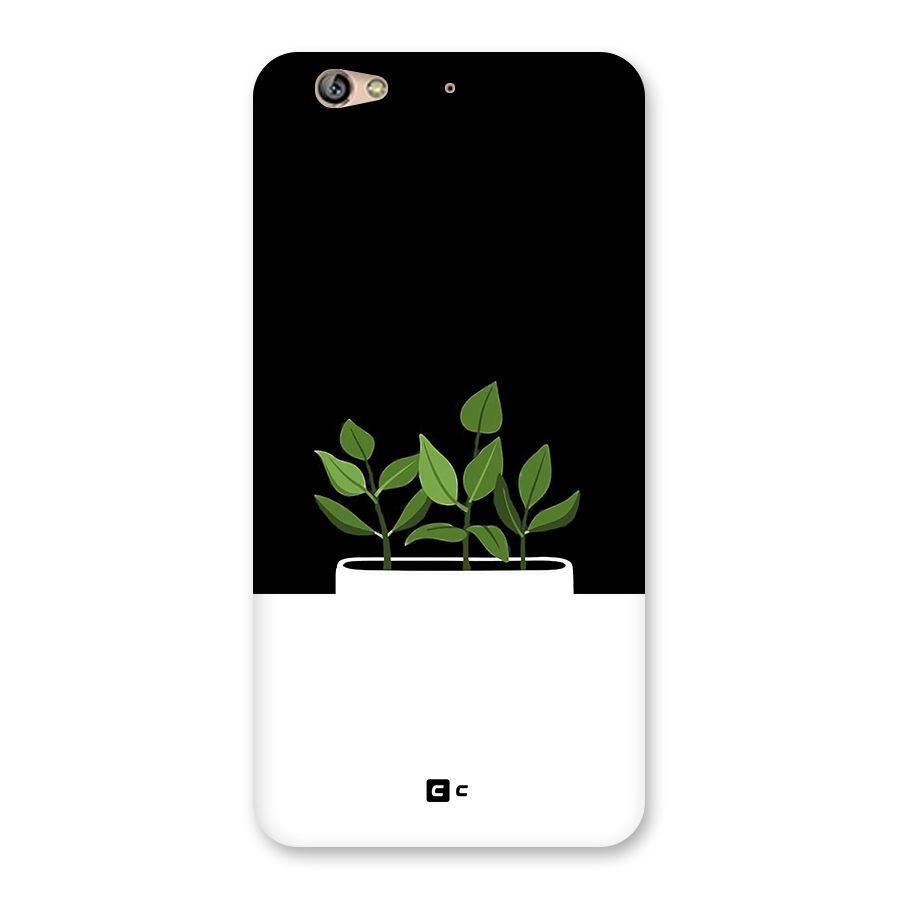 Beautiful Plant Pot Minimalistic Back Case for Gionee S6
