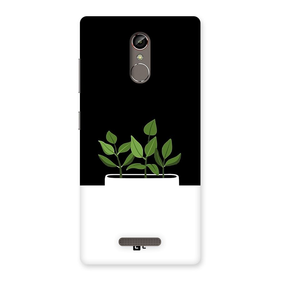 Beautiful Plant Pot Minimalistic Back Case for Gionee S6s