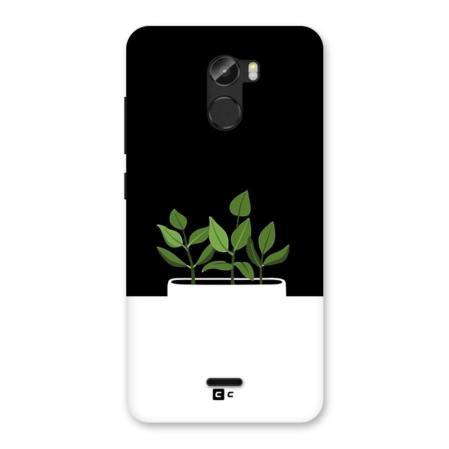 Beautiful Plant Pot Minimalistic Back Case for Gionee X1