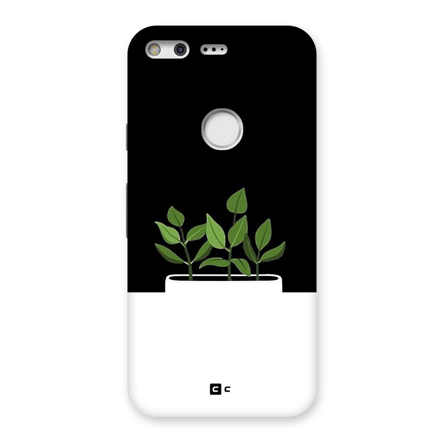 Beautiful Plant Pot Minimalistic Back Case for Google Pixel