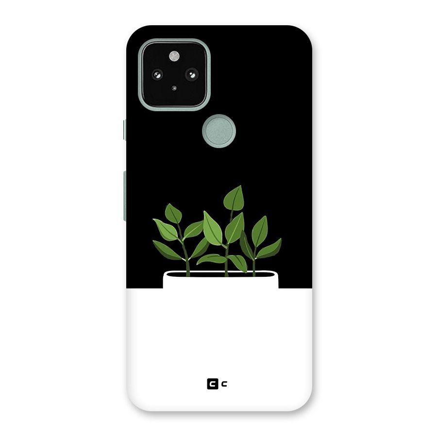 Beautiful Plant Pot Minimalistic Back Case for Google Pixel 5