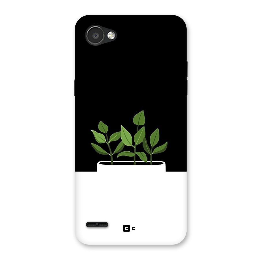 Beautiful Plant Pot Minimalistic Back Case for LG Q6