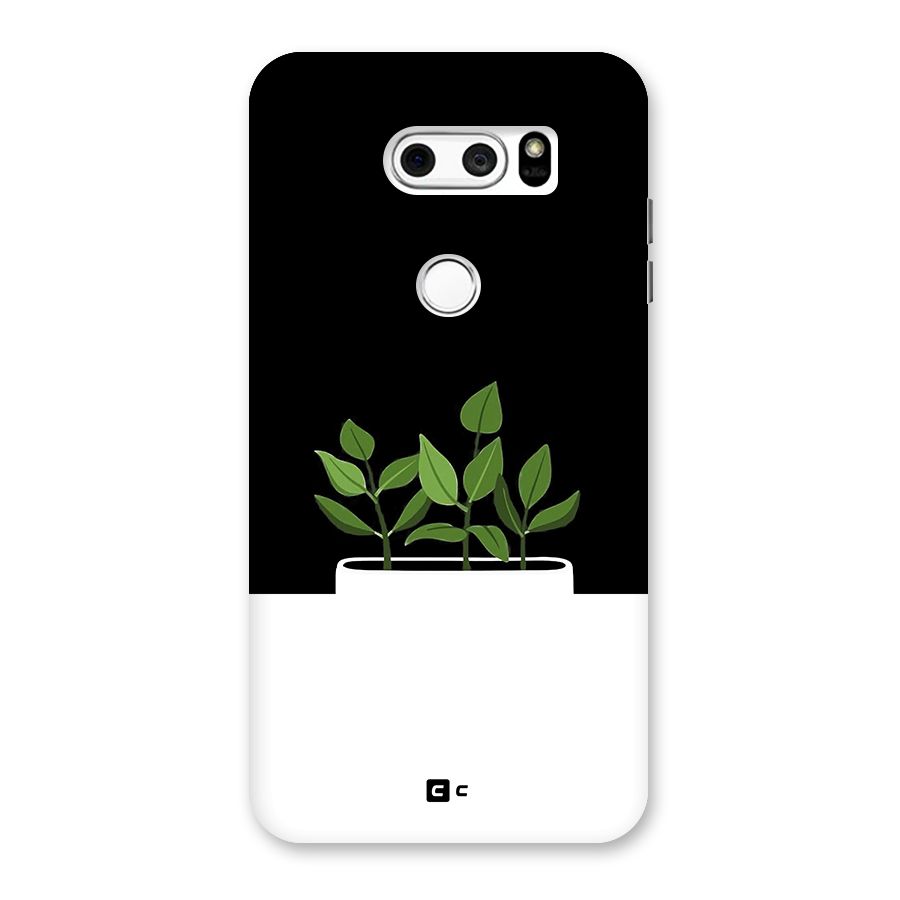 Beautiful Plant Pot Minimalistic Back Case for LG V30