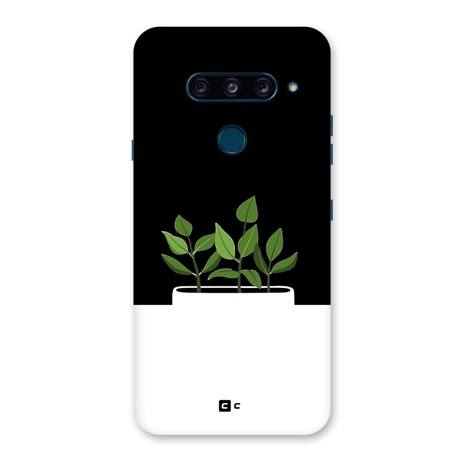 Beautiful Plant Pot Minimalistic Back Case for LG  V40 ThinQ