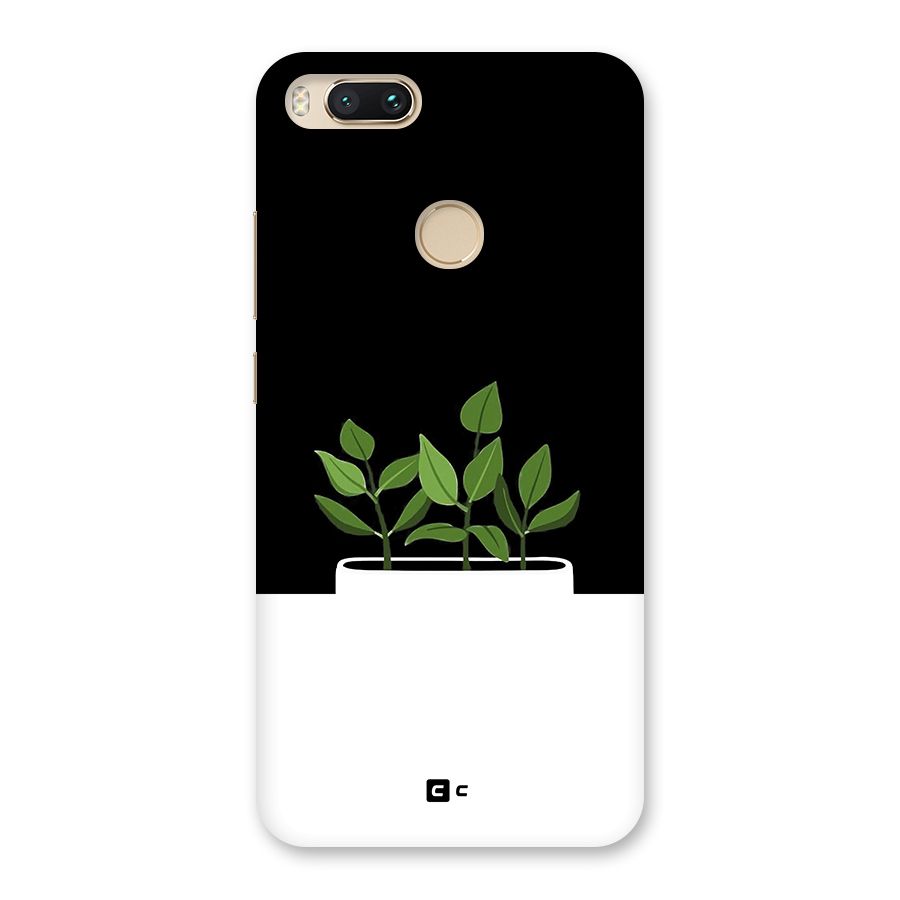Beautiful Plant Pot Minimalistic Back Case for Mi A1