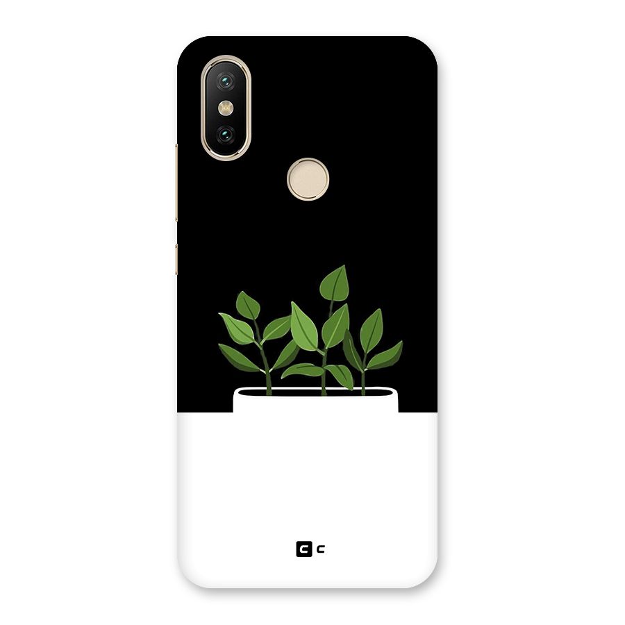 Beautiful Plant Pot Minimalistic Back Case for Mi A2