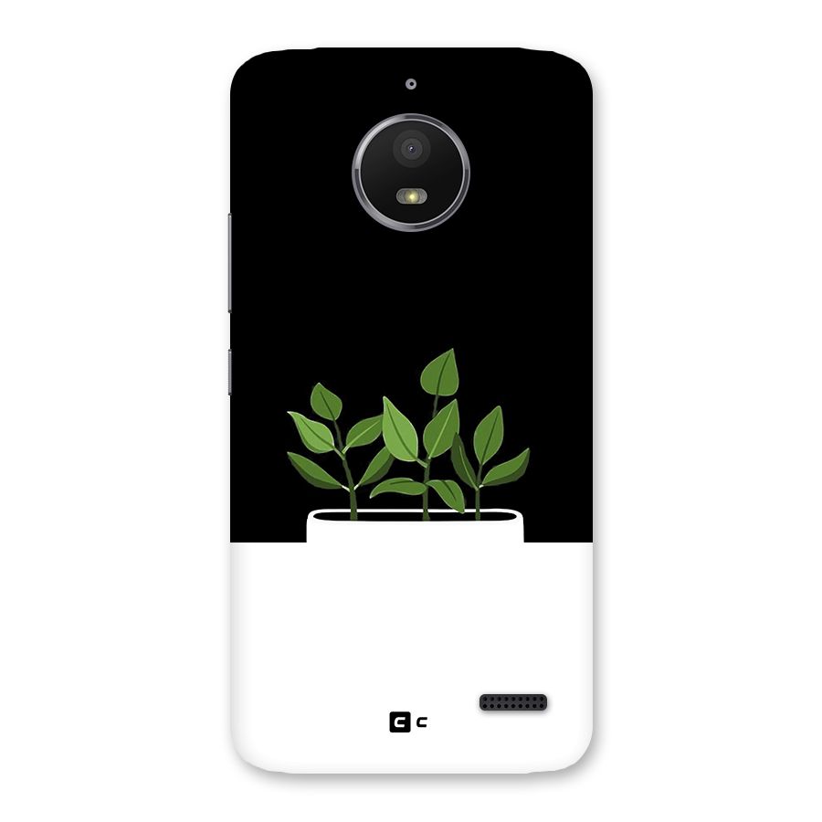 Beautiful Plant Pot Minimalistic Back Case for Moto E4