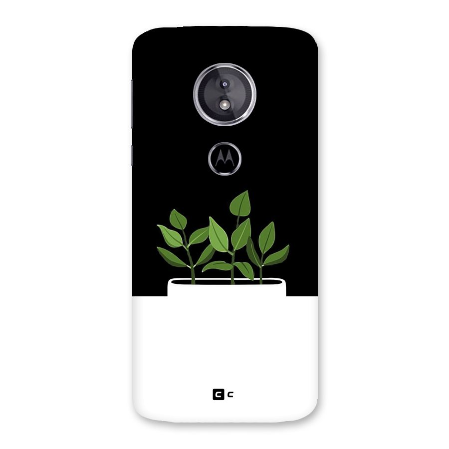 Beautiful Plant Pot Minimalistic Back Case for Moto E5