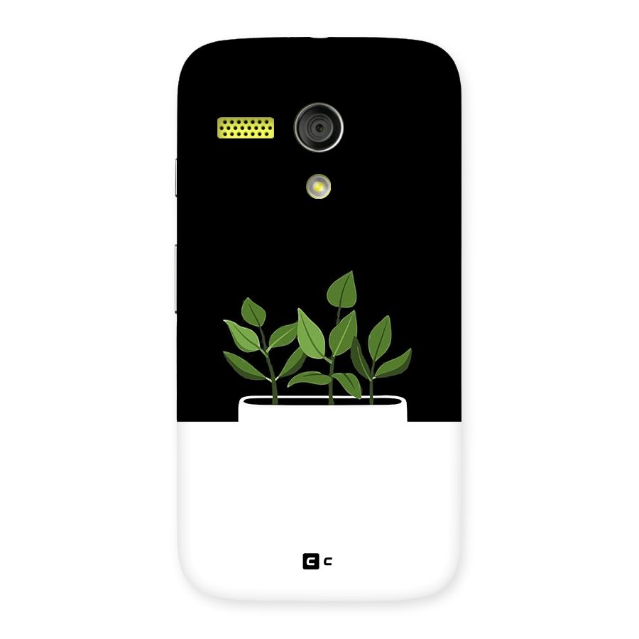 Beautiful Plant Pot Minimalistic Back Case for Moto G
