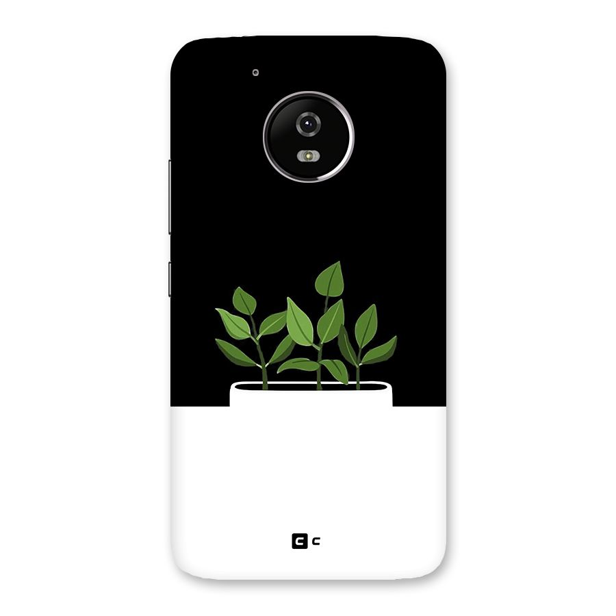 Beautiful Plant Pot Minimalistic Back Case for Moto G5