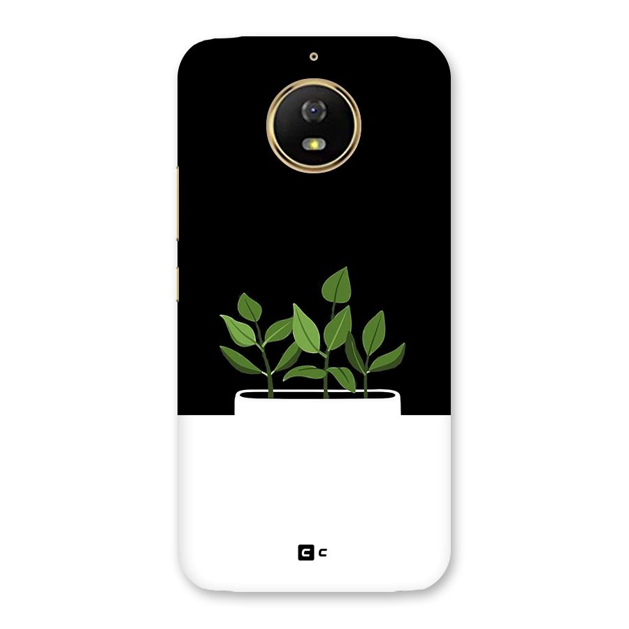 Beautiful Plant Pot Minimalistic Back Case for Moto G5s