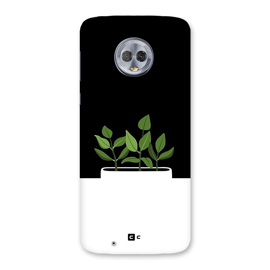 Beautiful Plant Pot Minimalistic Back Case for Moto G6