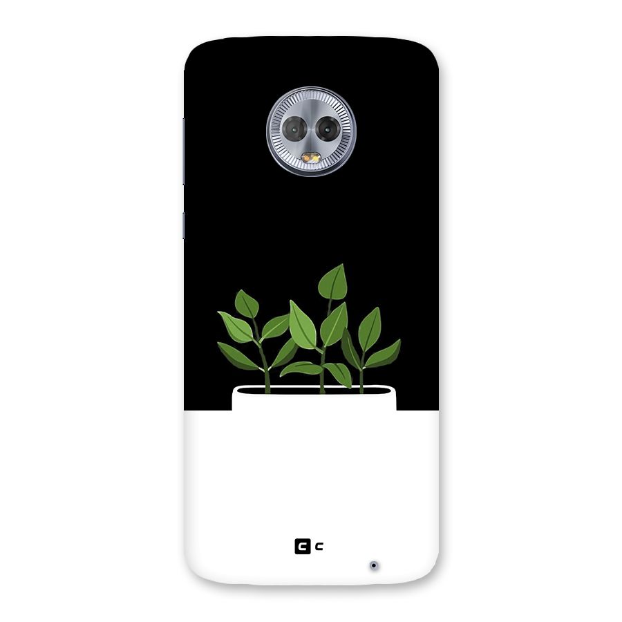 Beautiful Plant Pot Minimalistic Back Case for Moto G6 Plus