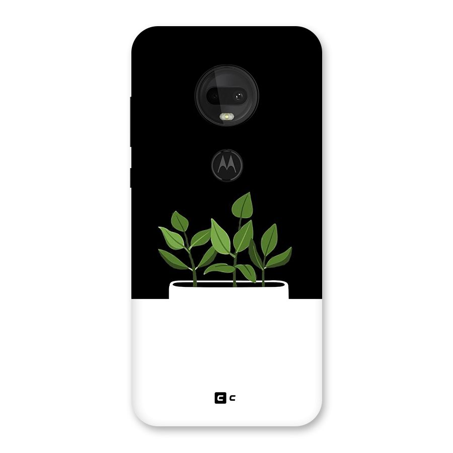 Beautiful Plant Pot Minimalistic Back Case for Moto G7