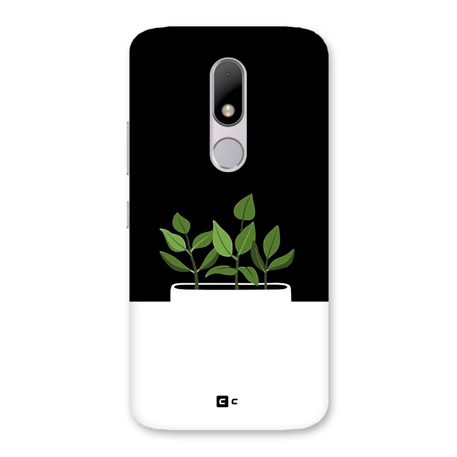 Beautiful Plant Pot Minimalistic Back Case for Moto M